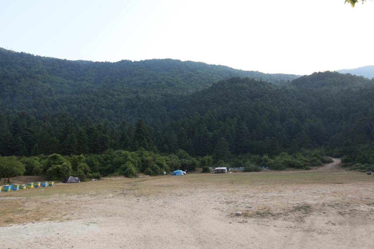 Hamiti Camping Center Dukat Εξωτερικό φωτογραφία