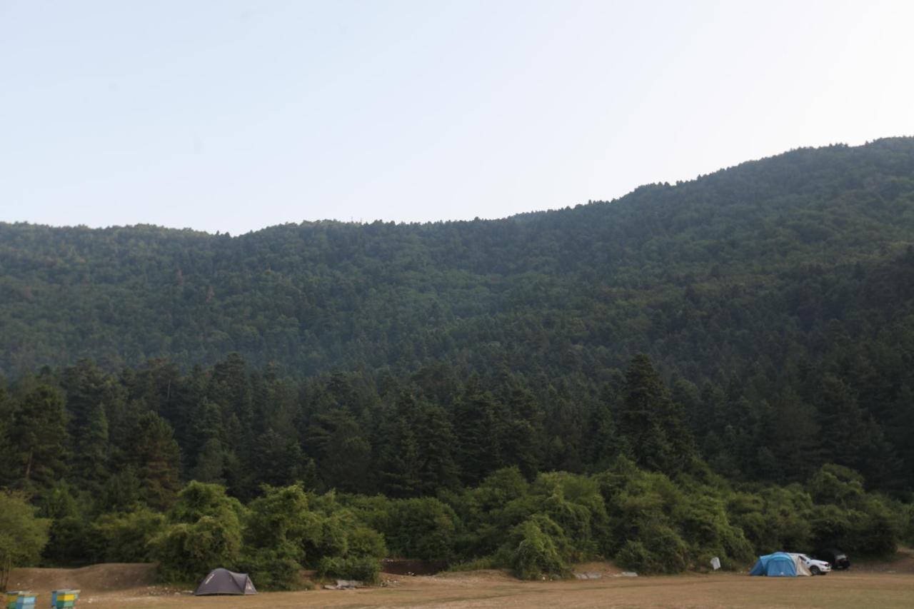 Hamiti Camping Center Dukat Εξωτερικό φωτογραφία