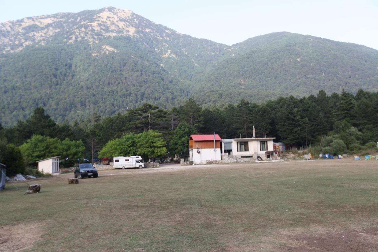 Hamiti Camping Center Dukat Εξωτερικό φωτογραφία