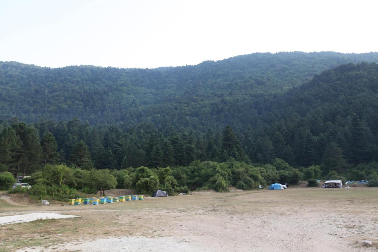 Hamiti Camping Center Dukat Εξωτερικό φωτογραφία