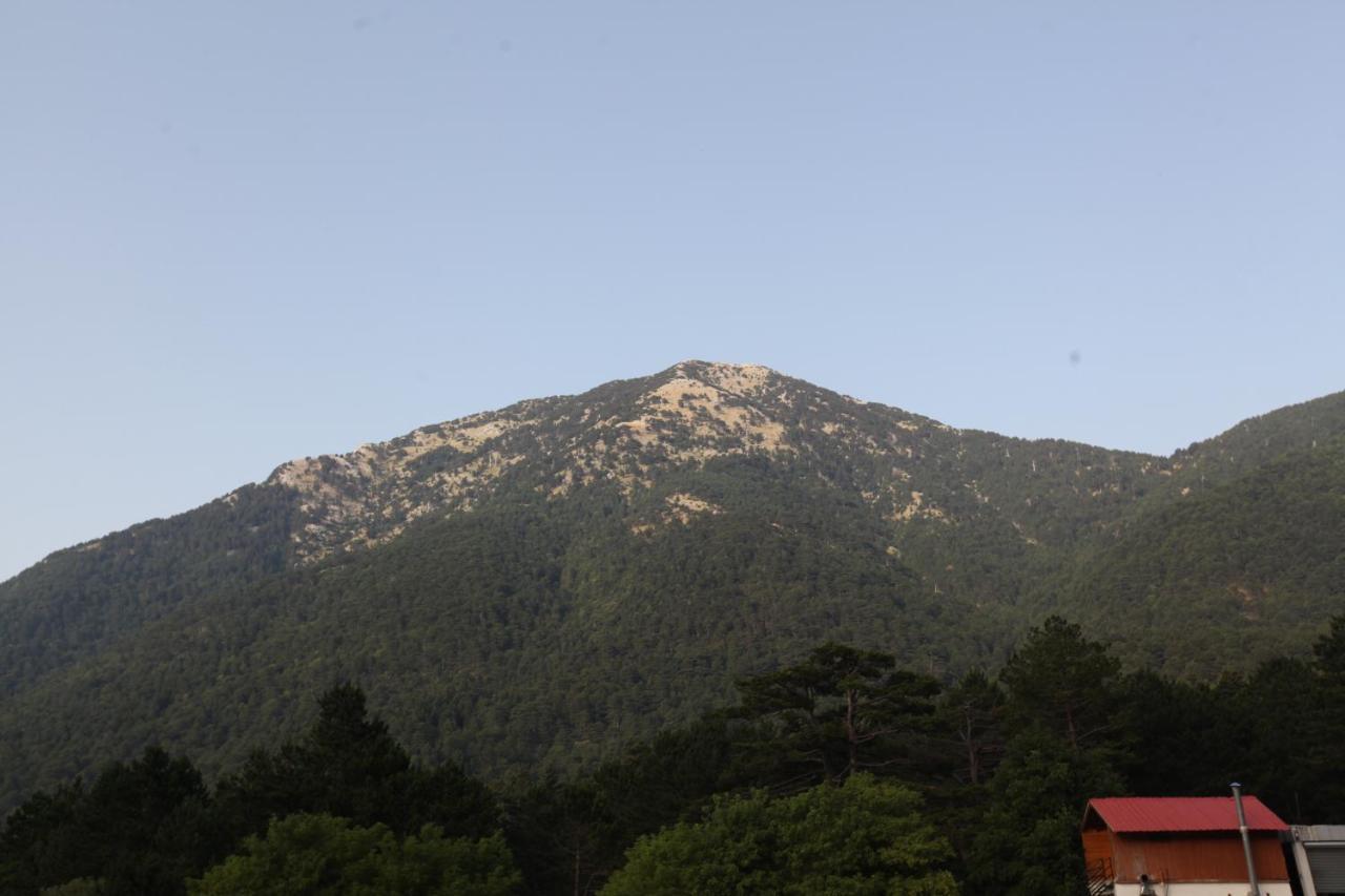 Hamiti Camping Center Dukat Εξωτερικό φωτογραφία