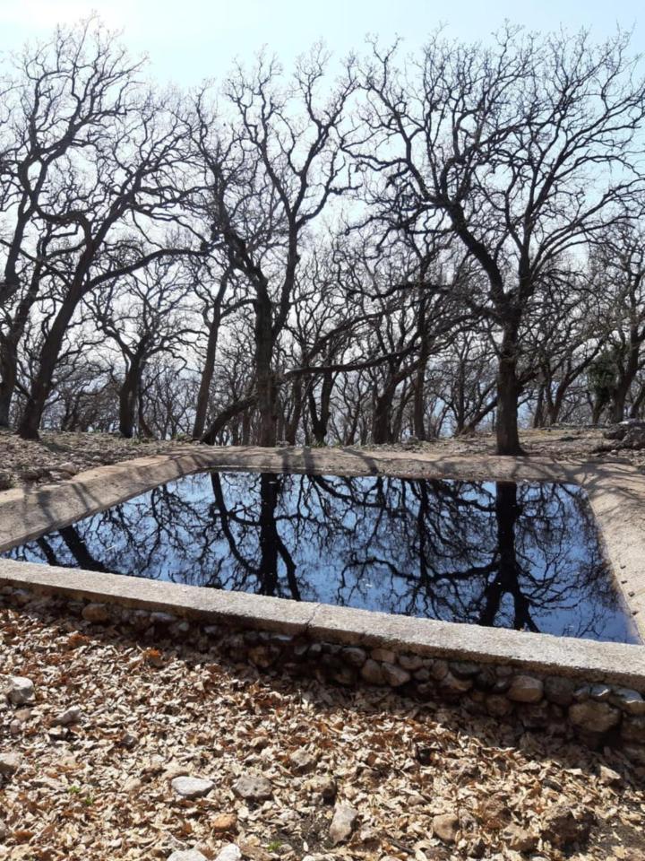 Hamiti Camping Center Dukat Εξωτερικό φωτογραφία