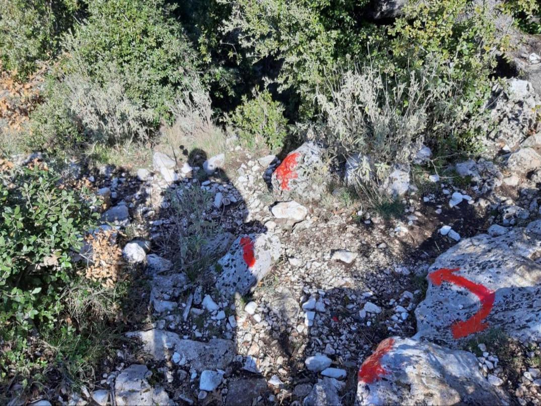 Hamiti Camping Center Dukat Εξωτερικό φωτογραφία